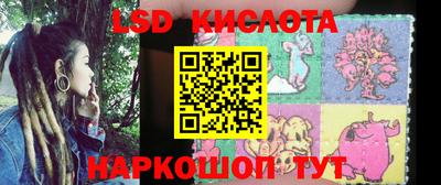эйфоретик Будённовск
