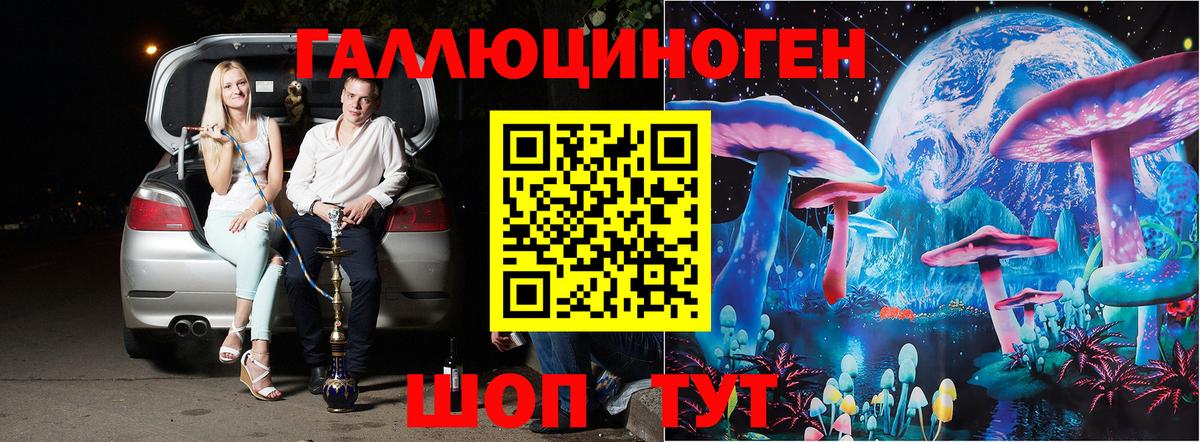 Псилоцибиновые грибы Cubensis  Вход с VPN  Тверь 