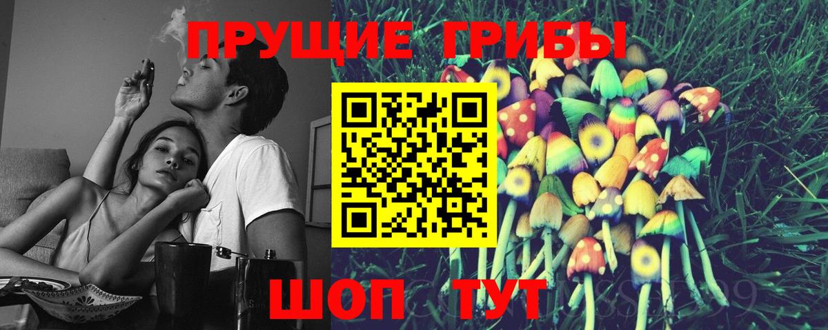 Галлюциногенные грибы Psilocybe Тверь