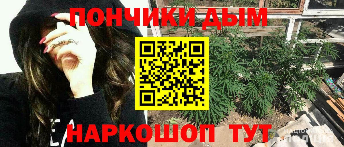 Шишки марихуана семена Тверь